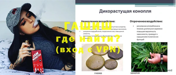дмт Абаза