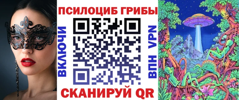 Псилоцибиновые грибы Psilocybine cubensis  Шумерля 